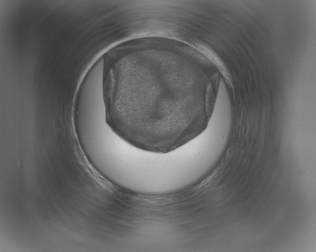 X0000074011340200609061040