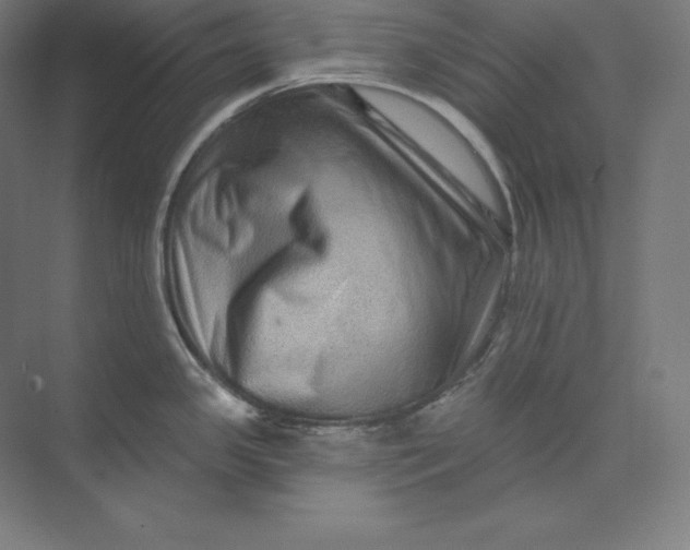 X0000074011341200609061040