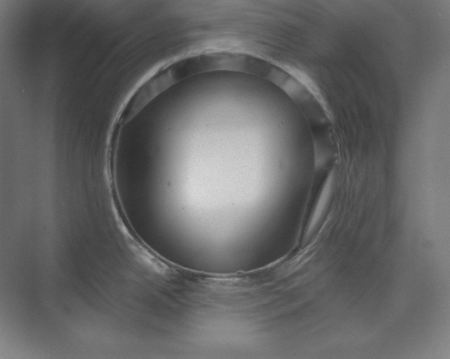 X0000074011342200609061040