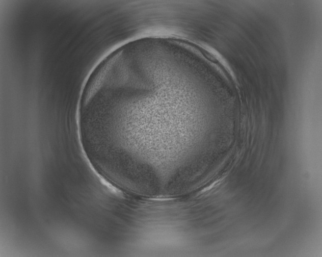 X0000074011343200609061040