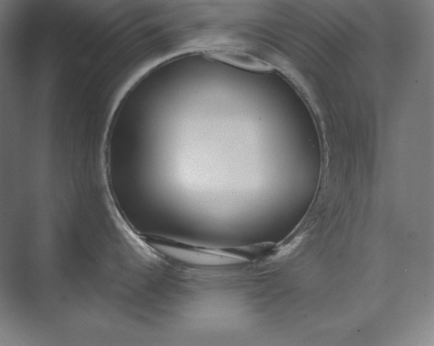 X0000074011344200609061040