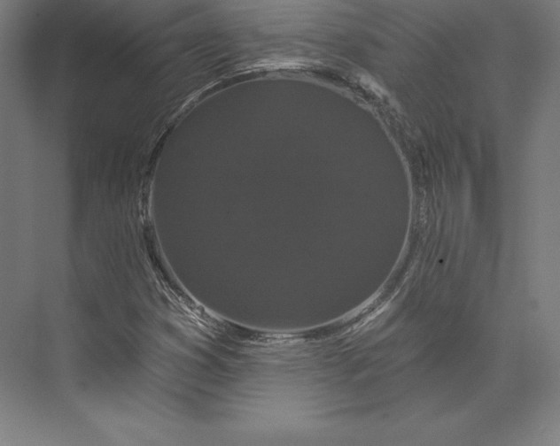 X0000074011353200609061039