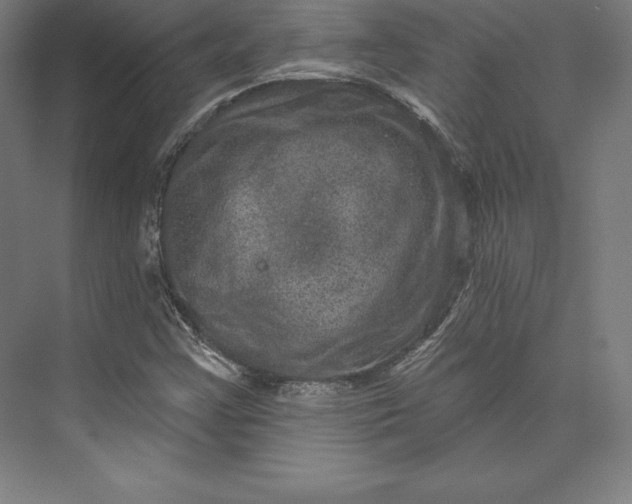 X0000074011355200609061039