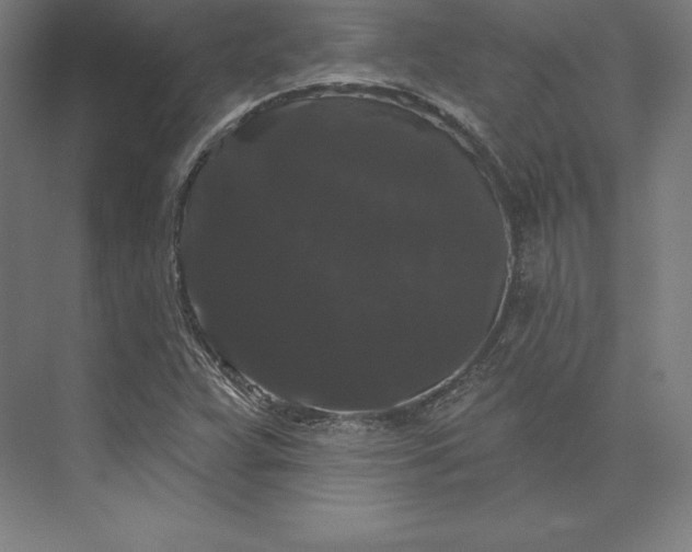 X0000074011359200609061039