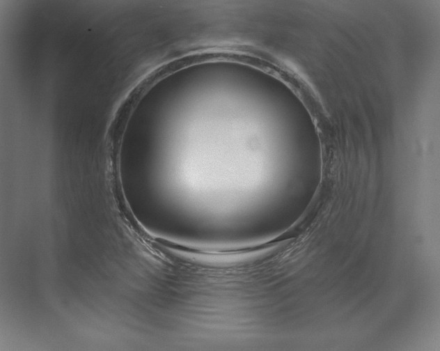 X0000074011360200609061039