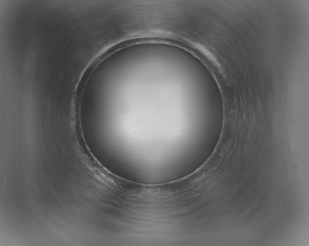 X0000074011364200609061039