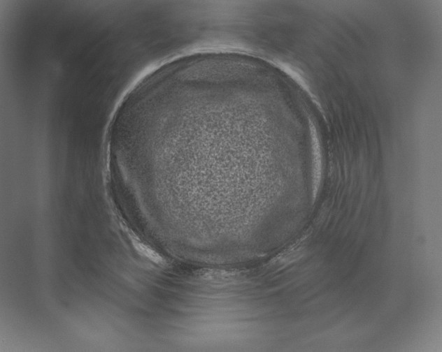 X0000074011366200609061038