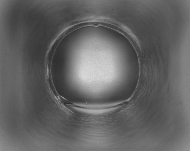 X0000074011368200609061038