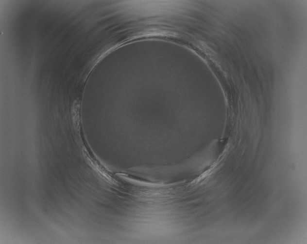 X0000074011369200609061038
