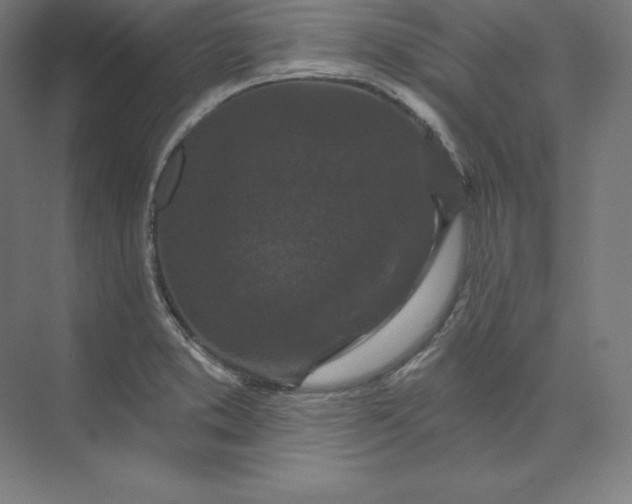 X0000074011373200609061038
