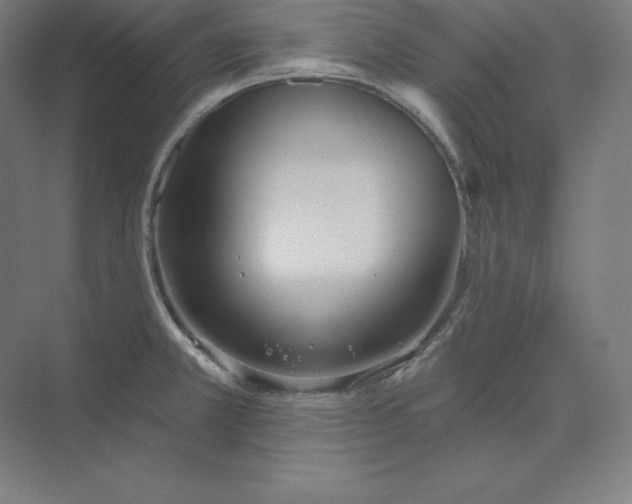 X0000074011381200609061038
