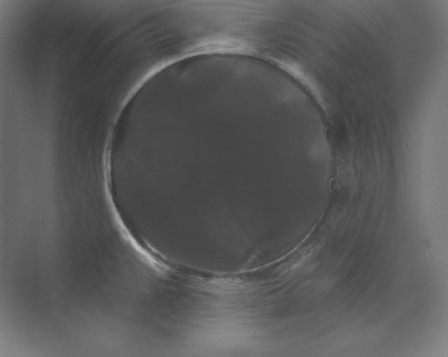 X0000074011383200609061038