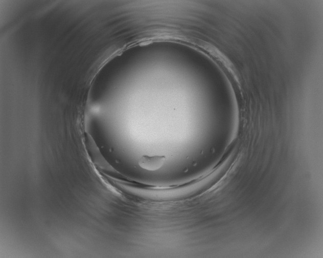 X0000074011385200609061038