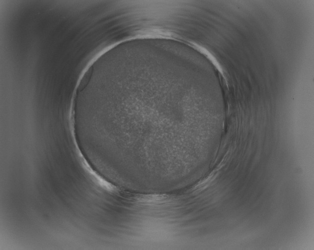 X0000074011387200609061038