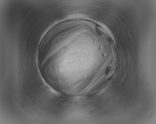 X0000074011390200609061038