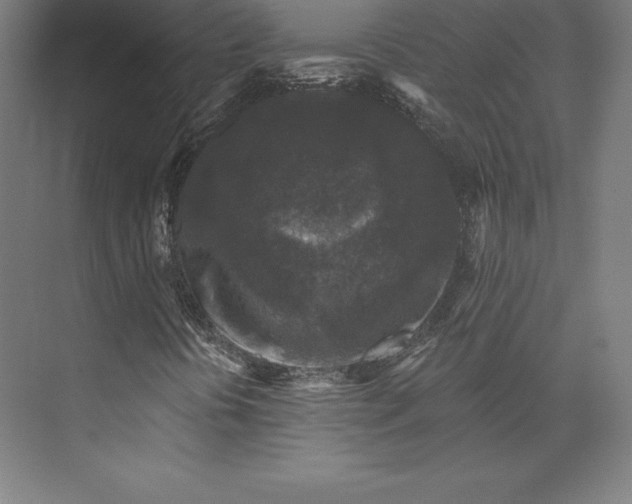 X0000074011394200609061037