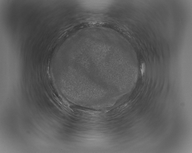 X0000074011396200609061037