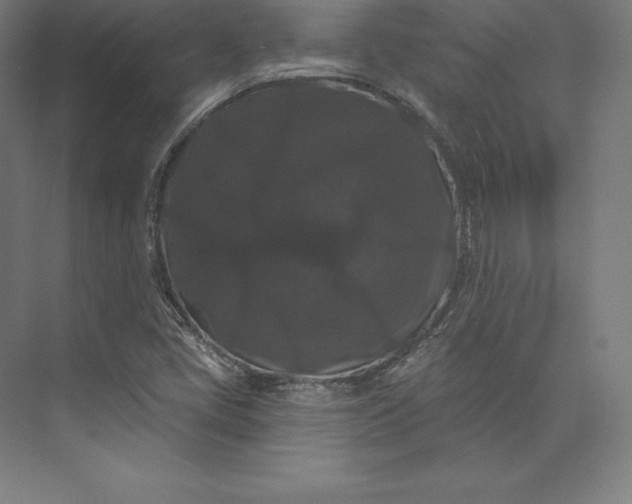 X0000074011405200609061037