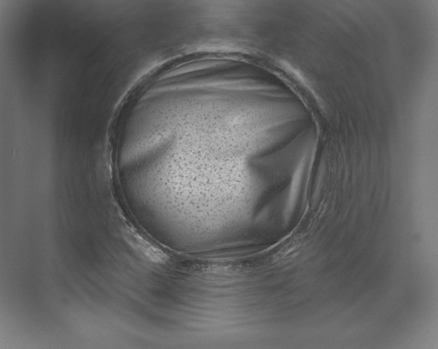 X0000074011408200609061037