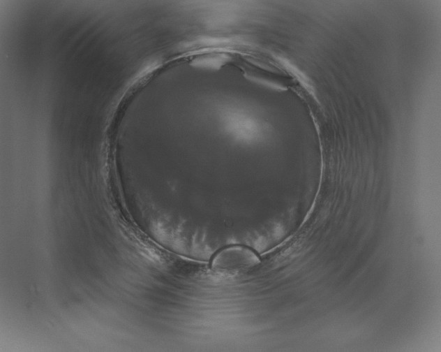 X0000074011411200609061038