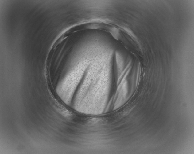 X0000074011412200609061038