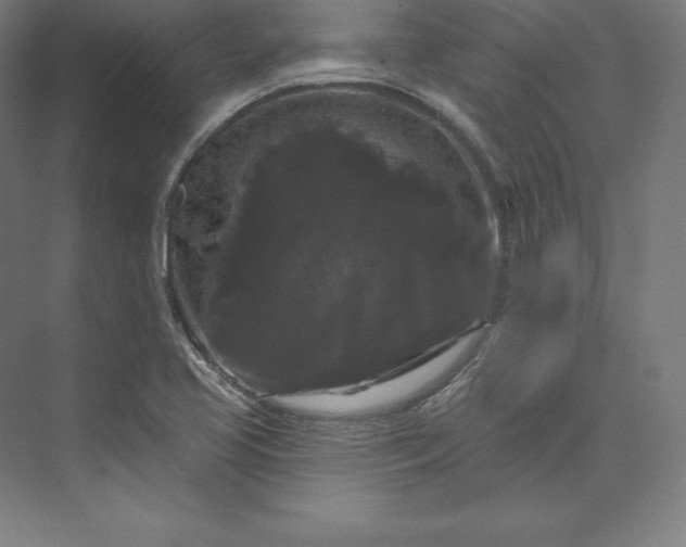 X0000074011413200609061038