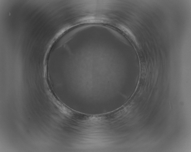 X0000074011419200609061038