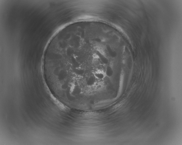 X0000074011421200609061038