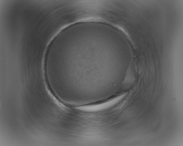 X0000074011422200609061038