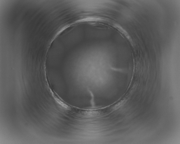 X0000074011425200609061038