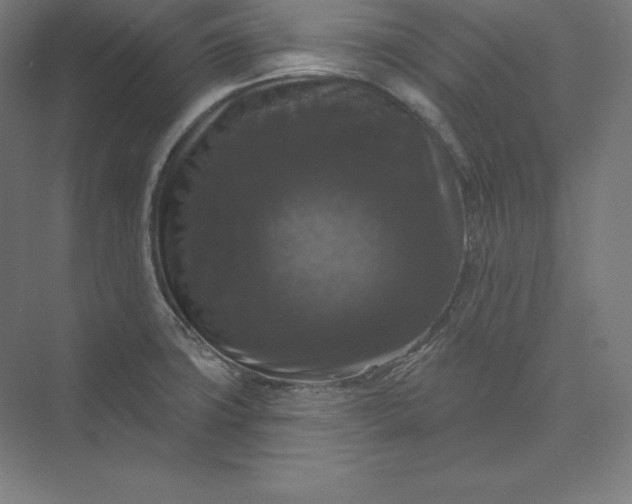 X0000074011427200609061038