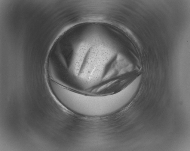 X0000074011432200609061038