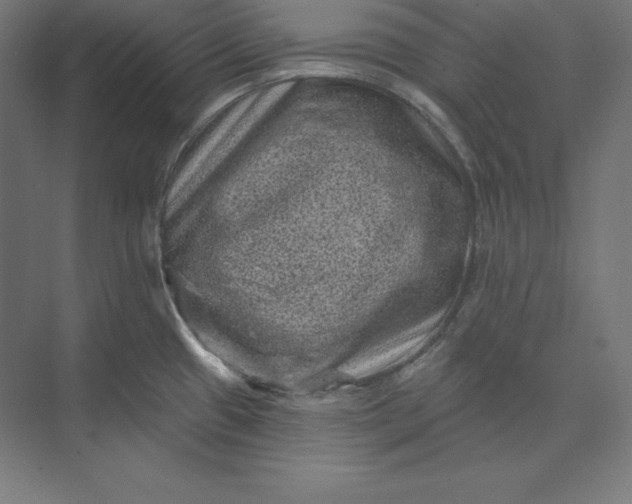 X0000074011433200609061038