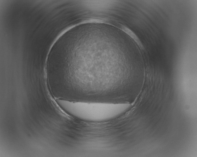 X0000074011436200609061038