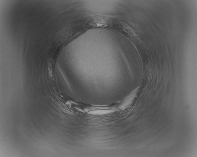 X0000074011442200609061037