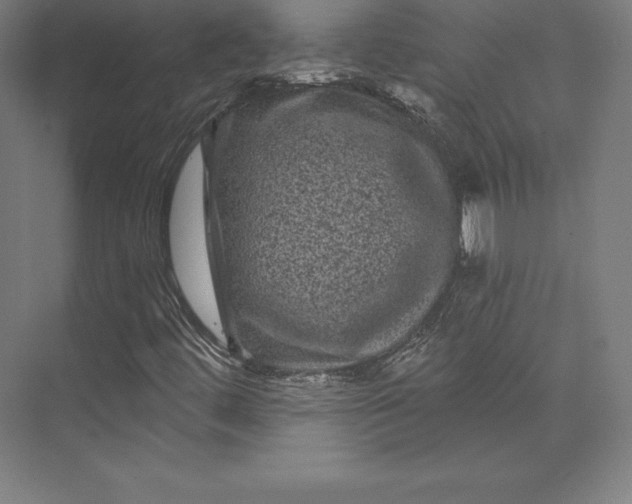 X0000074011444200609061037