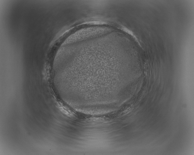 X0000074011448200609061037
