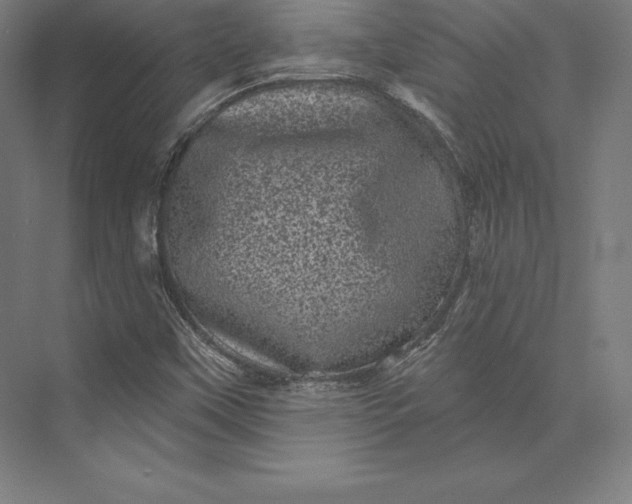 X0000074011451200609061037