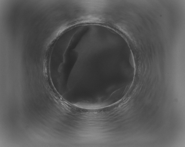 X0000074011455200609061037