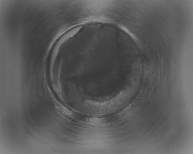 X0000074011459200609061037