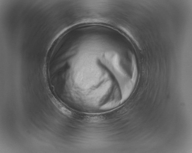 X0000074011460200609061037