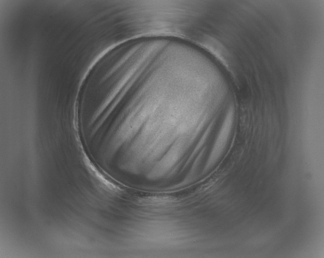 X0000074011468200609061037