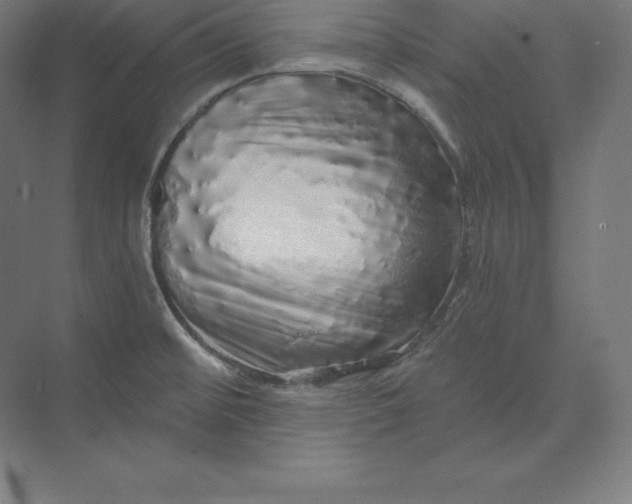 X0000074011476200609061037