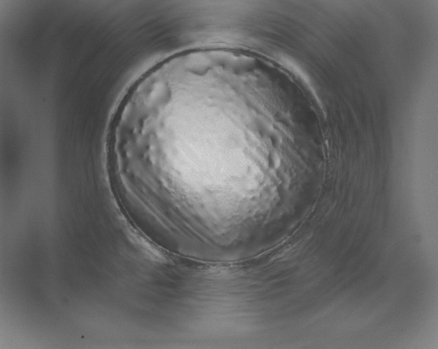 X0000074011480200609061037