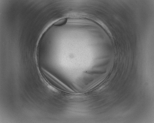X0000074011486200609061036