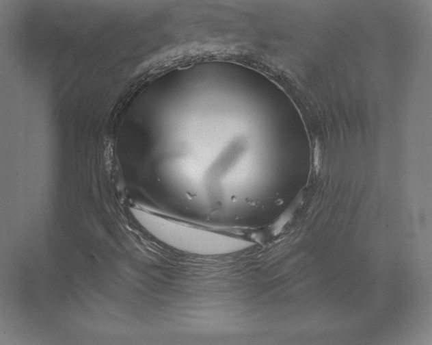 X0000074011492200609061036