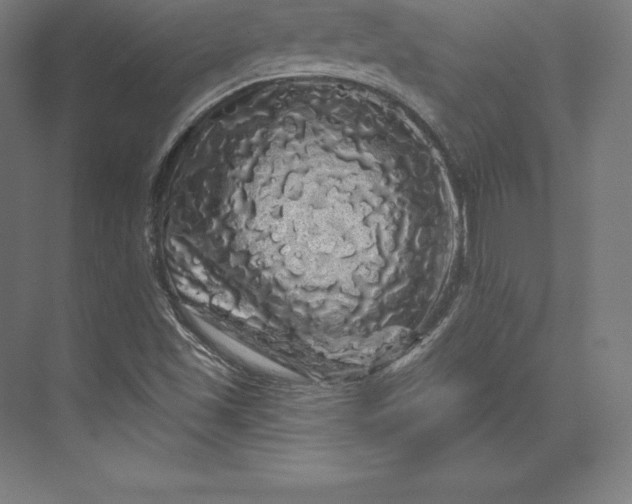 X0000074011501200609061036