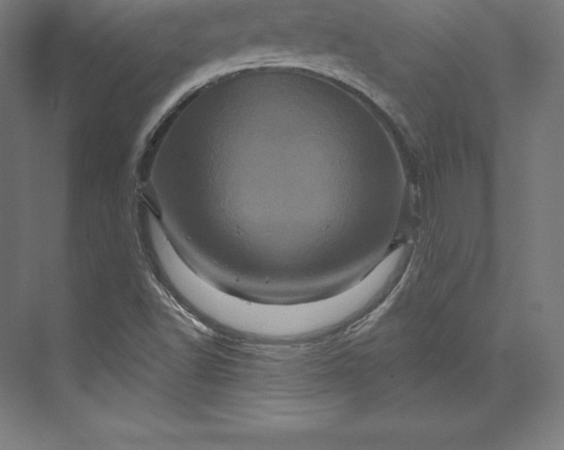 X0000074011502200609061036
