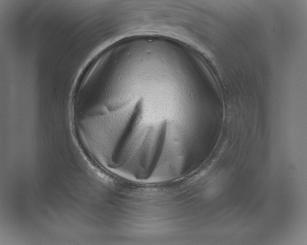 X0000074011517200609061036