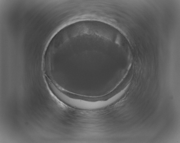 X0000074011527200609061036